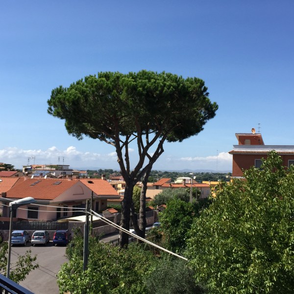 Flying across to Rome