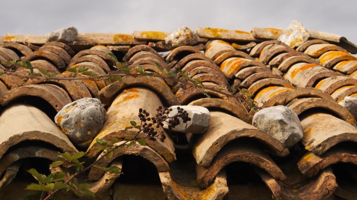 Walks near Casale Centurione - roof tiles